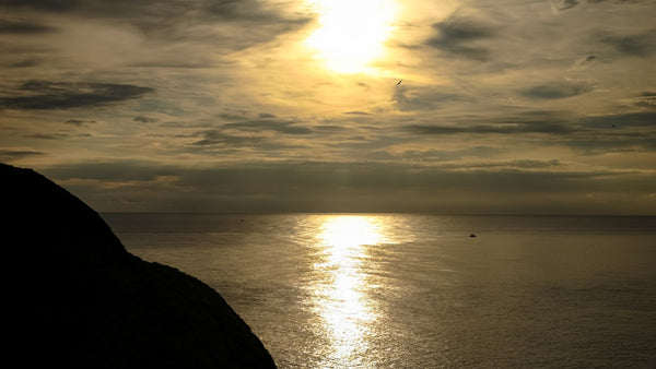 Golden sunlight reflecting on calm ocean water