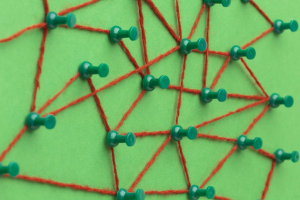 Understanding CB1 and CB2 Receptors and How CBD Interacts with Them?