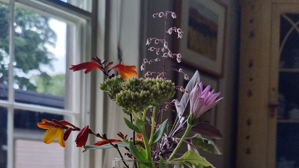 bunch of wildflowers on a kitchen table