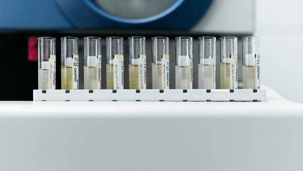 Laboratory test tubes with labels on a rack