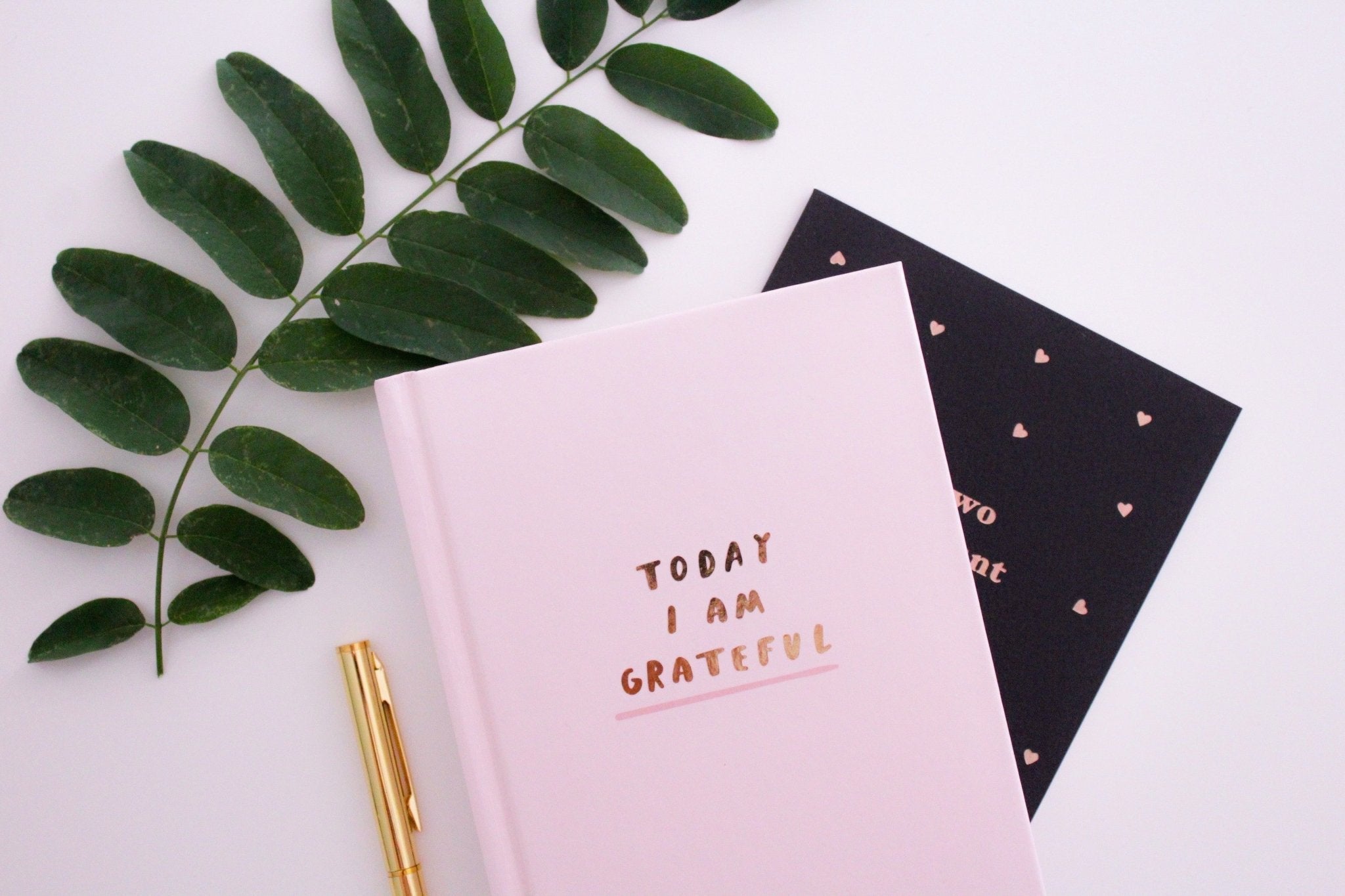 Does gratitude journaling work? - Unspun