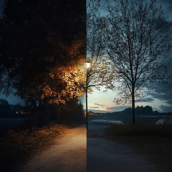 The Best Time to Take CBD Oil: Discover When to Take CBD Products - Unspun