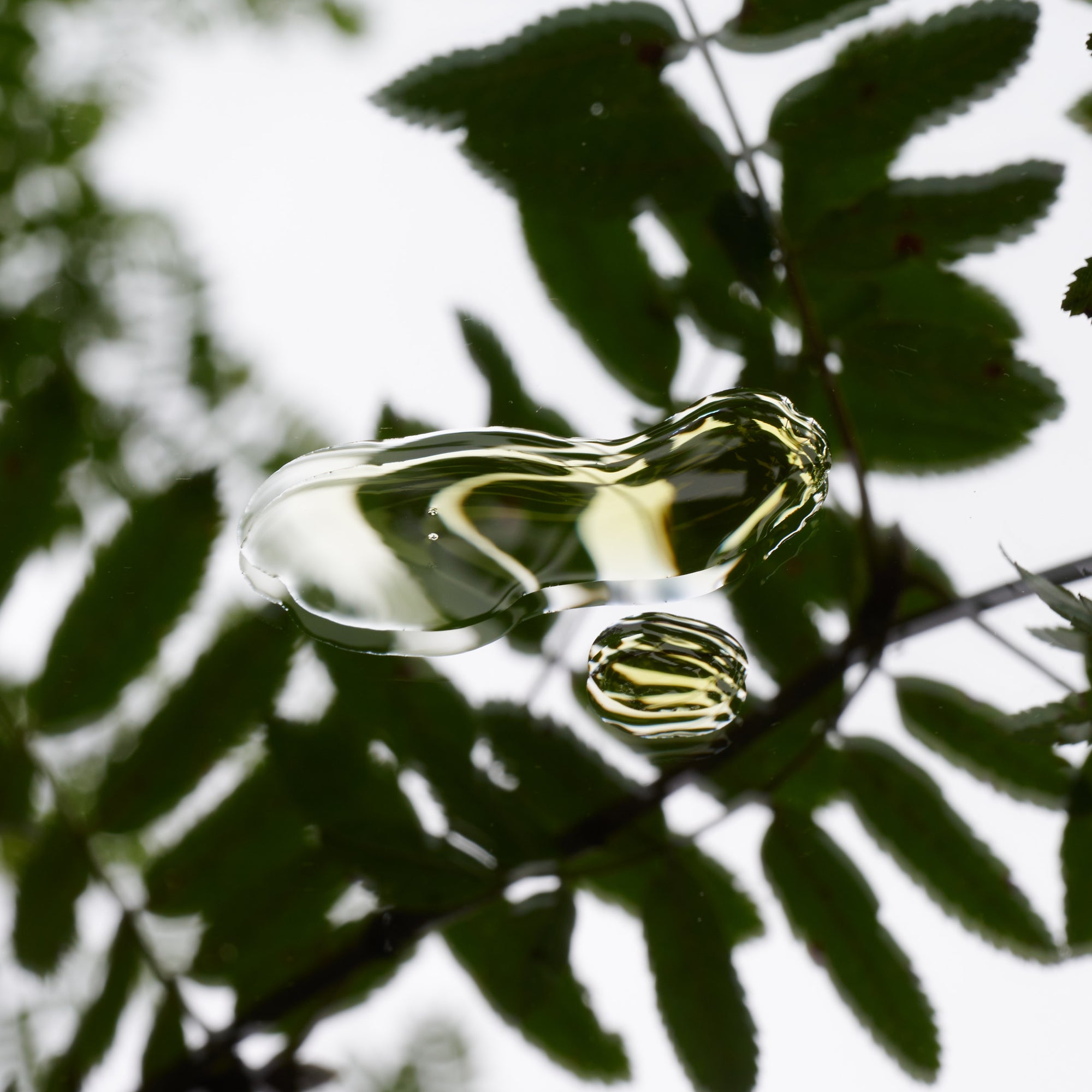 Close-up image capturing the essence of Unspun's commitment to quality and natural ingredients. A droplet of CBD oil is suspended in clear detail, reflecting the lush greenery of trees in the background, symbolizing the purity and organic sources of the product. The oil's reflection on a mirror surface creates a visual link between the product and the natural world.