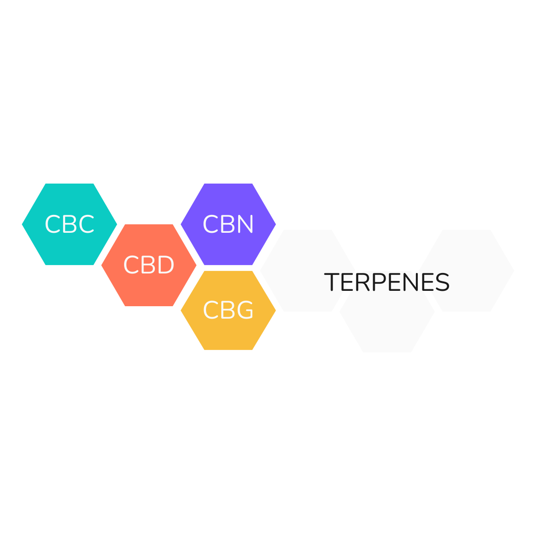 Illustrative diagram showing the structure of different cannabinoids used by Unspun. Central to the image is CBD, connected to other key components like CBC, CBN, and CBG, each represented by a colored hexagon. An outlined molecular structure labeled 'TERPENES' is also included, indicating their role in the broad-spectrum formula. The diagram excludes THC, emphasizing the product's focus on beneficial cannabinoids without psychoactive effects.