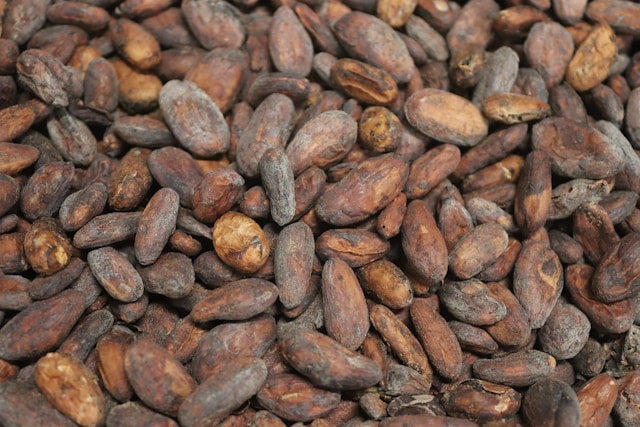 Complete CBD Collection